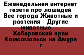 Еженедельная интернет - газета про лошадей - Все города Животные и растения » Другие животные   . Хабаровский край,Комсомольск-на-Амуре г.